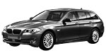 BMW F11 P176E Fault Code